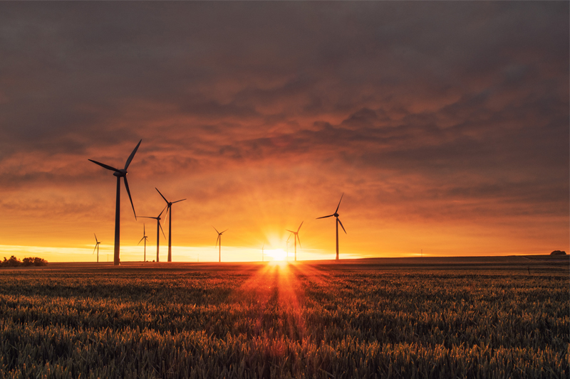 How can homeowners take advantage of sustainable energy sources on a limited budget?