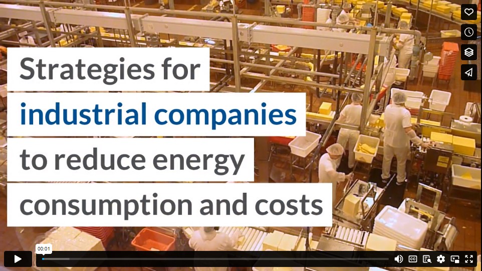 Strategies for industrial companies to reduce energy consumption and costs