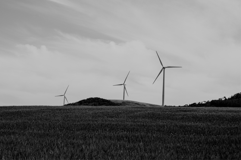 Why is it necessary for companies to assess the environmental impact of their energy source?