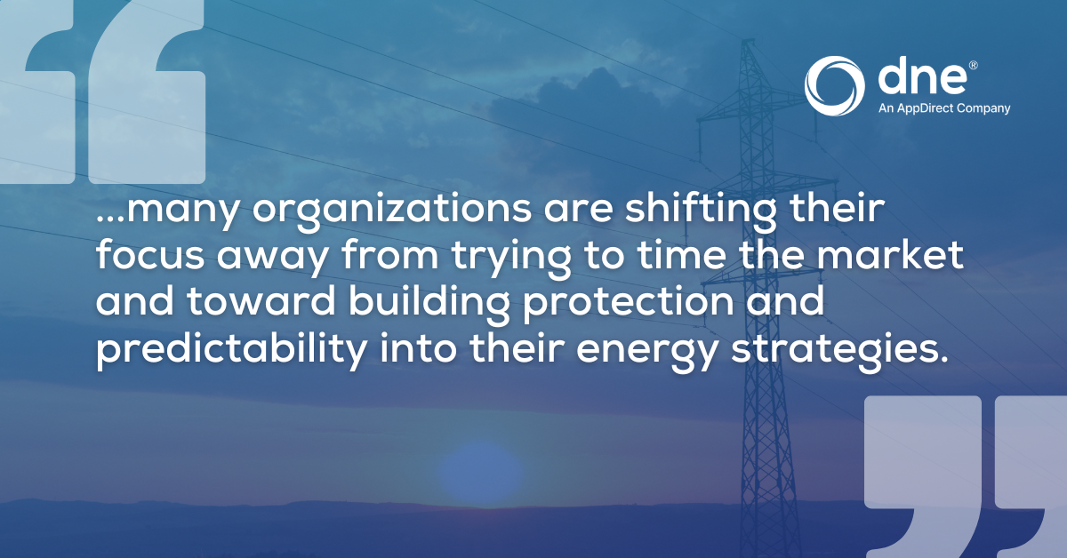 building protection and predictability into their energy strategies