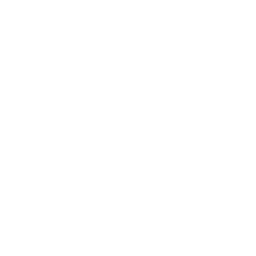 Data loss prevention